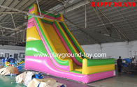 Cina 0.55mm Polato PVC Inflatable Bounce Slide, Balita Inflatable Water Slide RQL-00302 distributor